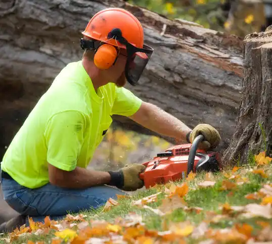 tree services Slidell